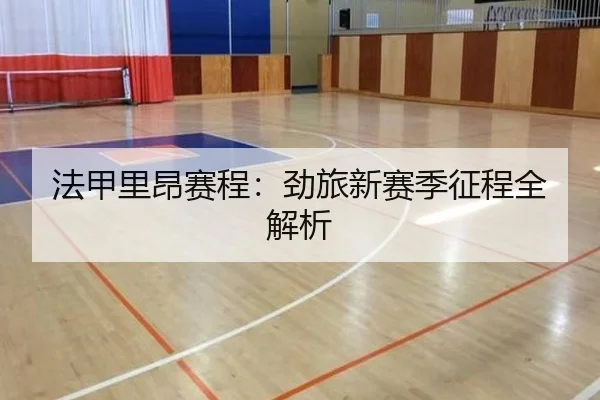 法甲里昂赛程：劲旅新赛季征程全解析